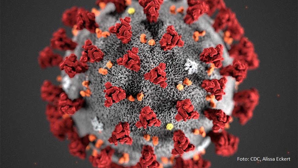 Notification of potential Force Majeure due to Corona virus outbreak